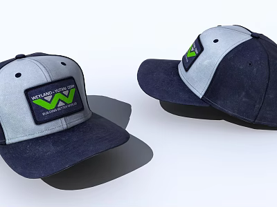 Stylish Navy And Gray Baseball Caps With Green W World Champions Logo 3d model
