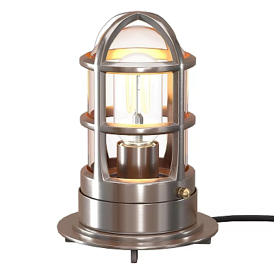 Stainless Steel Table Lamp With Metal Cage Frame Exposed Bulb And Round Base 3d model
