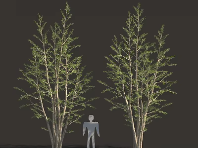 Two Leafy Trees With Green Branches And Human Silhouette For Landscape Design 3d model