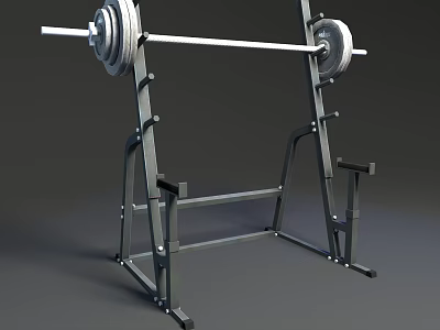 Sturdy Gym Weight Training Equipment Barbell With Weight Plates On Steel Rack 3d model