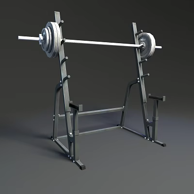Sturdy Gym Weight Training Equipment Barbell With Weight Plates On Steel Rack 3d model