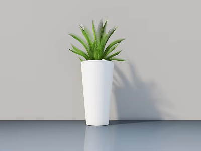 Green Leaf Potted Plant in White Pot on Gray Tabletop with Light Gray Wall 3d model
