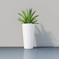 Green Leaf Potted Plant in White Pot on Gray Tabletop with Light Gray Wall