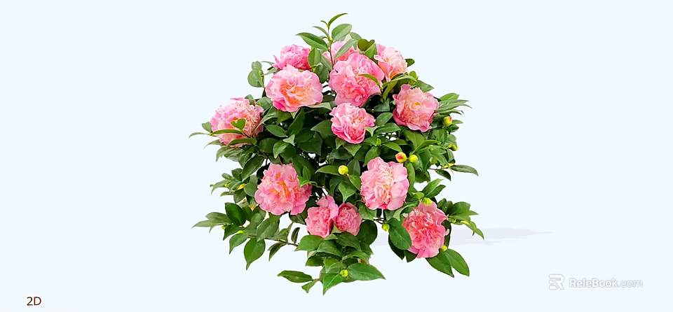 Lush Shrub With Pink Flowers Green Leaves And Yellow Berries 3d model 