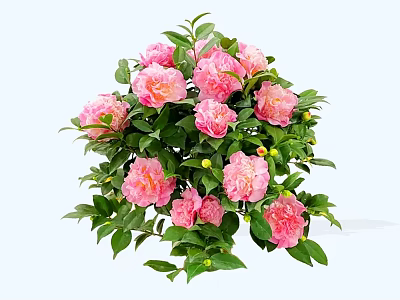 Lush Shrub With Pink Flowers Green Leaves And Yellow Berries 3d model