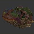 Tyrannosaurus rex Tyrannosaurus rex skull dinosaur skull 3d model