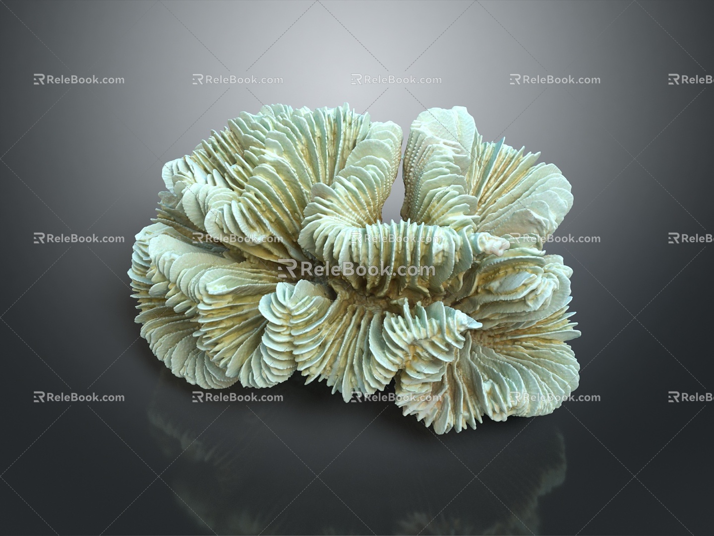 Modern Coral Red Coral 3d model