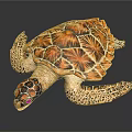 Decorative Sea Turtle Figurine With Orange Brown Patterned Carapace And Spotted Limbs On Black Background