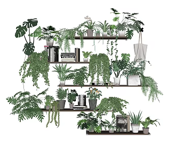 modern potted plant potted plant 3d model