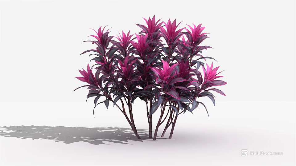 Vibrant Decorative Shrub With Purple And Pink Leaves For Indoor Decoration 3d model 