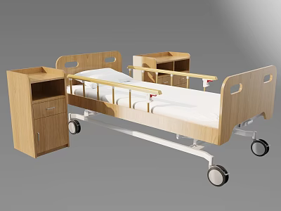 Medical Bed With Wooden Frame And Side Rails And Bedside Cabinet 3d model