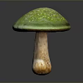 Fresh Green Mushroom with Vibrant Cap and Light Colored Stem as Edible Food