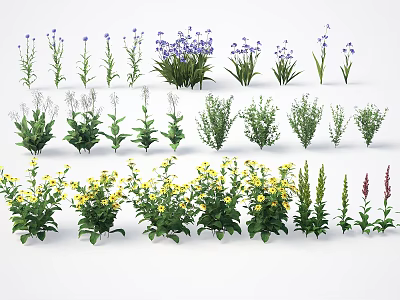 Assorted Colorful Flowers and Lush Green Plants for Garden 3d model