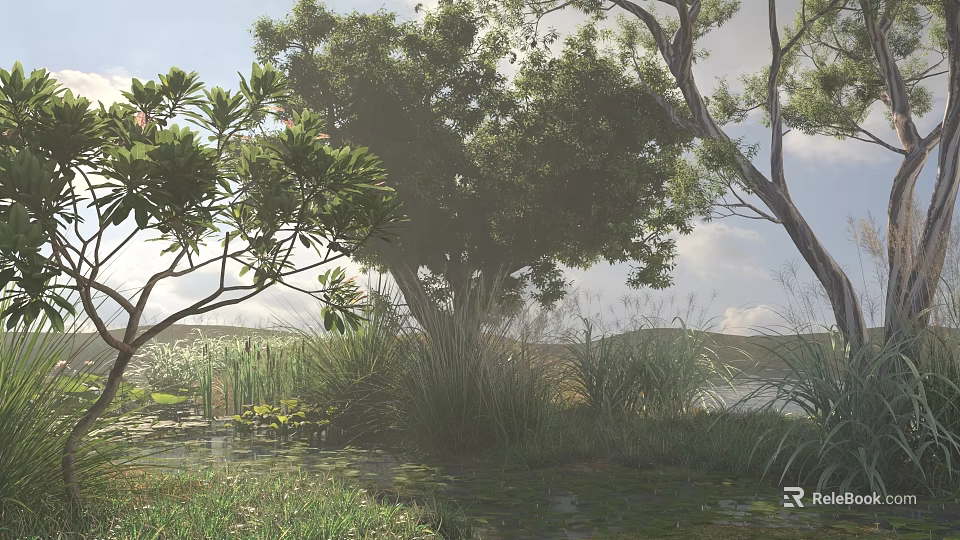Bright Sunlit Arbor Tree Surrounded by Other Trees Grass Water and Reeds in Natural Environment 3d model 