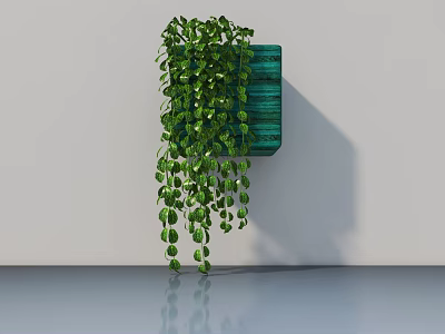 Indoor Green Hanging Basket Plant With Trailing Leaves Wall Mounted Decor 3d model