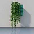 Indoor Green Hanging Basket Plant With Trailing Leaves Wall Mounted Decor