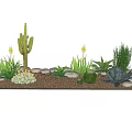 Potted Succulent and Cactus Plants with Decorative Stones on Gravel Ground