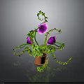 Green Vine Plant With Purple Flowers In Brown Pot And Trailing Leaves