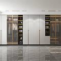 Modern Wardrobe Interior with Glass Doors Metal Handles Light Panels and Layered Storage Design
