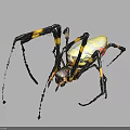 Yellow Black and Red Spider with Black and Yellow Banded Legs and Vibrant Colored Body