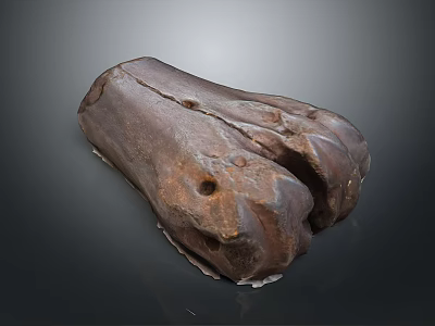 Biological Organ With Hair Featuring Rough Textured Surface And Natural Structure Details 3d model