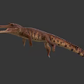 Aquatic Animal Crocodile 3D Model With Brown Orange Skin Open Mouth And Sharp Teeth
