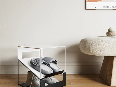 Modern Transparent Shoe Cabinet With Slippers Sneakers And Side Stool Potted Plant Light Wall Wooden Floor 3d model