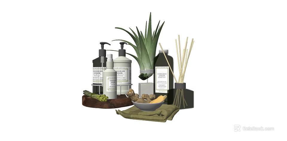 Stylish Bathroom Accessories Including Soap Dispensers Reed Diffusers And Aloe Vera Plant 3d model 