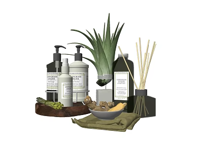 Stylish Bathroom Accessories Including Soap Dispensers Reed Diffusers And Aloe Vera Plant 3d model