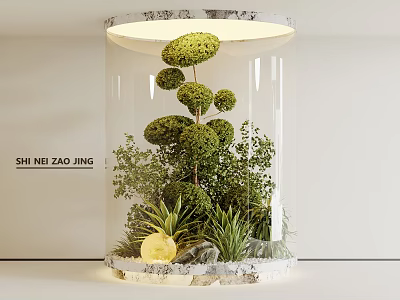Indoor Residential Landscape With Transparent Cylindrical Container Trimmed Spherical Green Plants Stones And Lighting 3d model