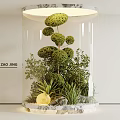 Indoor Residential Landscape With Transparent Cylindrical Container Trimmed Spherical Green Plants Stones And Lighting