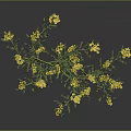Vibrant Green Plant With Yellow Flowers Thin Stem And Leafy Branches