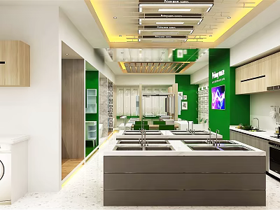 Modern Green Specialty Store Interior With Display Counters And Wooden Cabinets 3d model