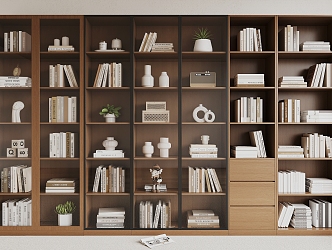 Modern bookcase 3d model