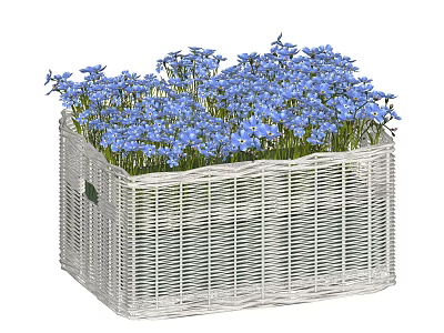 Elegant White Wicker Basket Potted Plant With Blooming Blue Flowers Decor 3d model