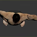 Shirtless Man Flexing Muscular Bicep In Black Shorts Against Gray Background