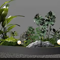 Courtyard Garden With Various Green Plants Large Leaves Decorative Stones Gravel Ground And Round Lights