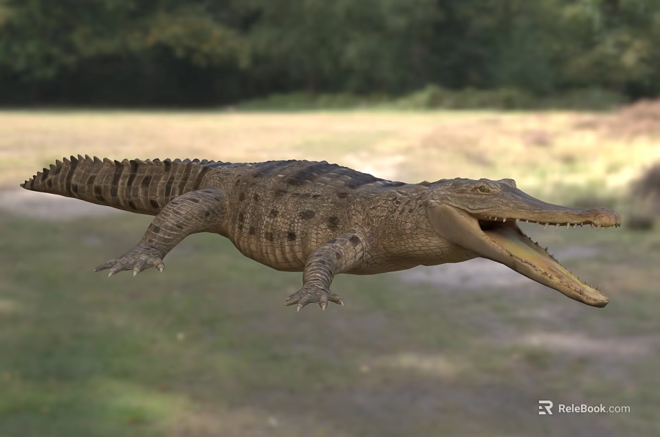 Crocodile With Open Mouth In Natural Habitat With Grassland And Trees 3d model 