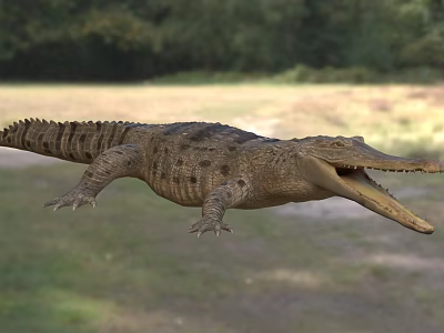 Crocodile With Open Mouth In Natural Habitat With Grassland And Trees 3d model