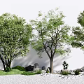 Modern Tree Landscape Tree 3d model