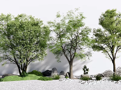 Arbor Trees With Green Leaves Trunks Stones And Small Plants On White Gravel Ground 3d model