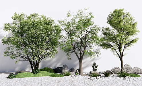 Modern Tree Landscape Tree 3d model