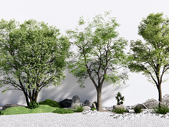 Modern Tree Landscape Tree 3d model