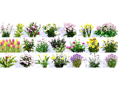Modern Flower Flower Landscape Flowers and Plants 3d model