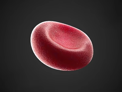 Blood Collection Area Featuring Red Blood Cell Sample For Laboratory Analysis 3d model