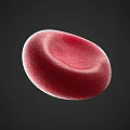 Blood Collection Area Featuring Red Blood Cell Sample For Laboratory Analysis
