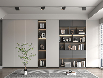 Modern bookcase 3d model