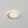 Modern Round Ceiling Light with Gold Frame and Soft Illumination 3d model