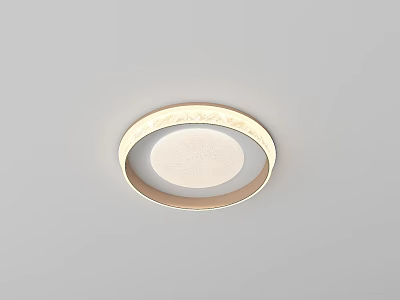 Modern Round Ceiling Light with Gold Frame and Soft Illumination 3d model
