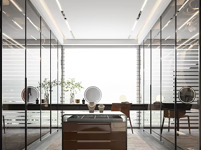 Modern Walk-in Closet with Glass Doors Large Window Dressing Table Mirrors and Plants 3d model